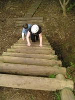 Krypton Factor photo