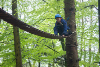 Heights Zones photo