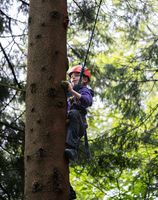 Heights Zones photo