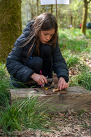 Bushcraft Zone photo