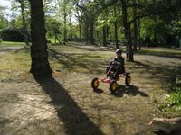 Pedal Cars photo