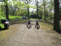 Pedal Cars photo