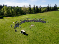 Camp Closure photo