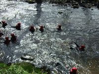 River Rescue photo