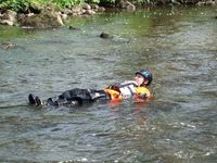 River Rescue photo
