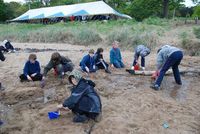 Sand Castle Competition photo