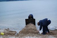 Sand Castle Competition photo