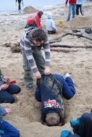 Sand Castle Competition photo