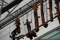Sky Walk photo
