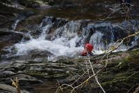Gorge Walking photo