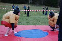 Sumo & Boxing photo