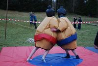 Sumo & Boxing photo