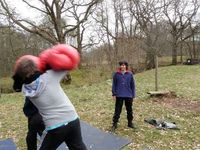 Sumo & Boxing photo
