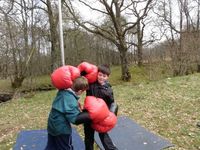 Sumo & Boxing photo