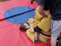 Sumo & Boxing photo