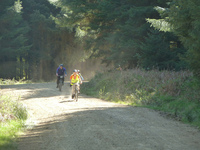 MountainBiking photo