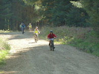 MountainBiking photo